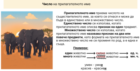 Число на прилагателното име